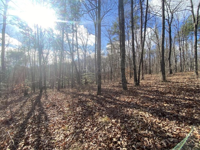 0 Bluff View Dr, Dunlap, TN 37327