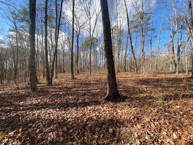 0 Bluff View Dr, Dunlap, TN 37327