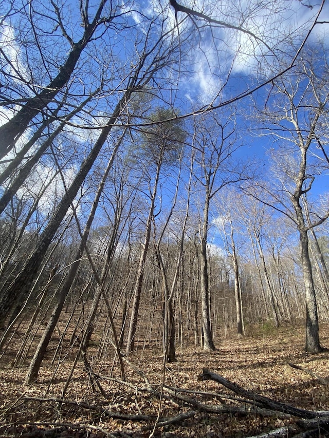 0 Bluff View Dr, Dunlap, TN 37327