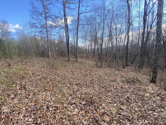 0 Bluff View Dr, Dunlap, TN 37327