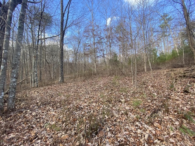 0 Bluff View Dr, Dunlap, TN 37327