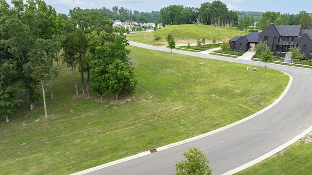 7266 Harlow Dr, College Grove, TN 37046