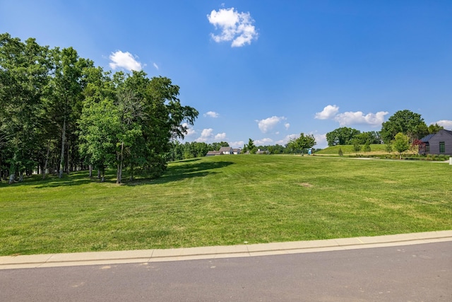 7266 Harlow Dr, College Grove, TN 37046