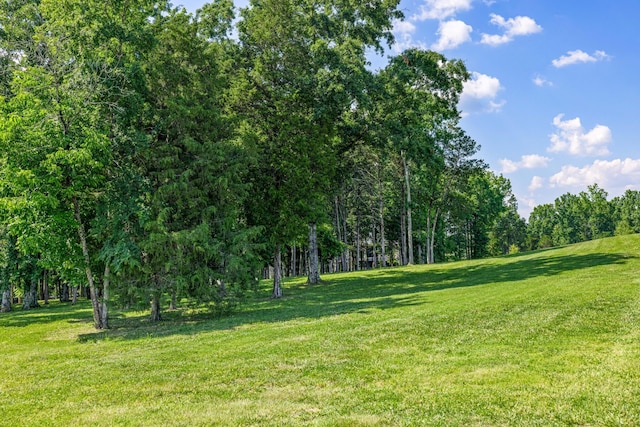 7266 Harlow Dr, College Grove, TN 37046