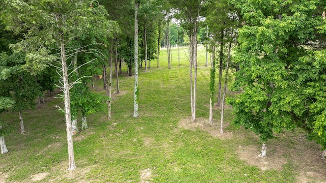 7266 Harlow Dr, College Grove, TN 37046