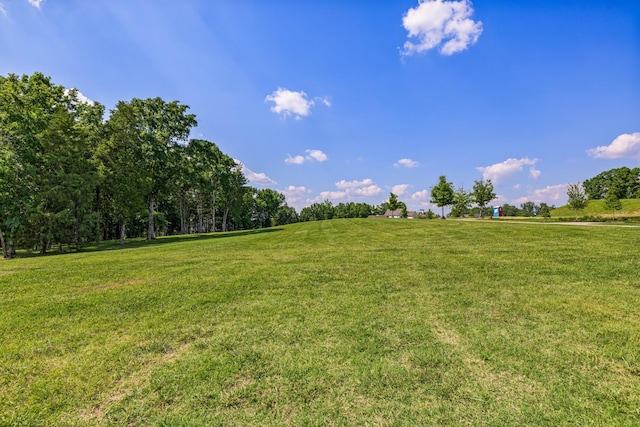 7266 Harlow Dr, College Grove, TN 37046