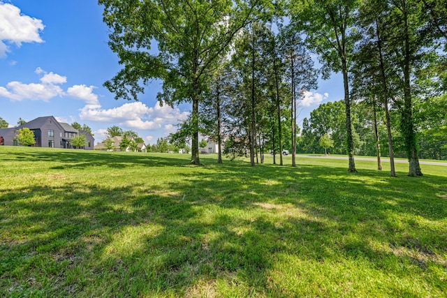 7266 Harlow Dr, College Grove, TN 37046