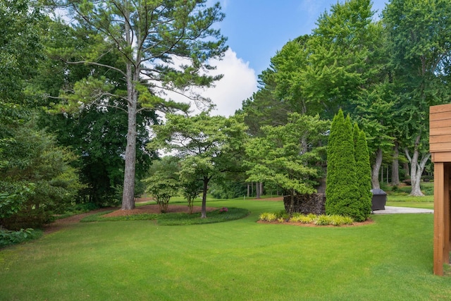 9208 Windstone Dr, Ooltewah, TN 37363 - view of grassy yard
