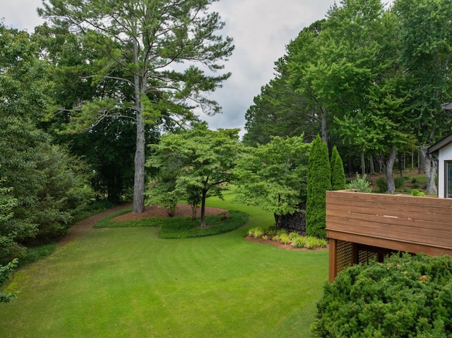 9208 Windstone Dr, Ooltewah, TN 37363 - view of green lawn