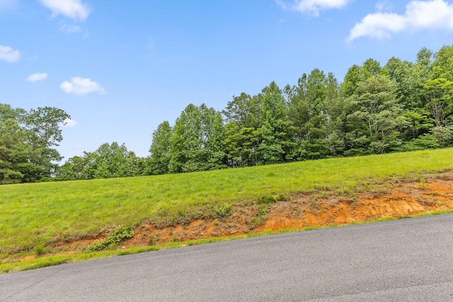 0 Preservation Dr, South Pittsburg, TN 37380 - photo 20