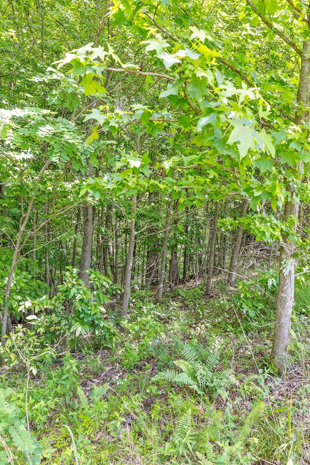 0 Preservation Dr, South Pittsburg, TN 37380 - photo 24