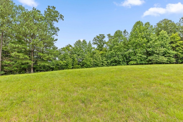 0 Preservation Dr, South Pittsburg, TN 37380 - photo 22