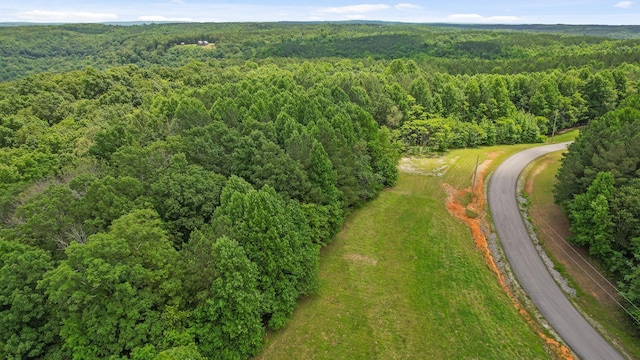 0 Preservation Dr, South Pittsburg, TN 37380 - photo 4