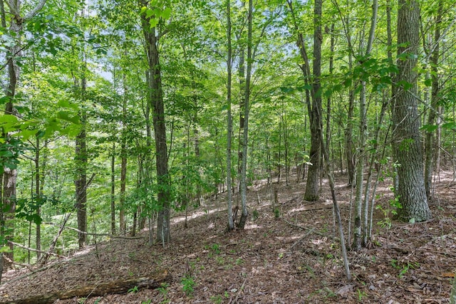 0 Preservation Dr, South Pittsburg, TN 37380 - photo 26