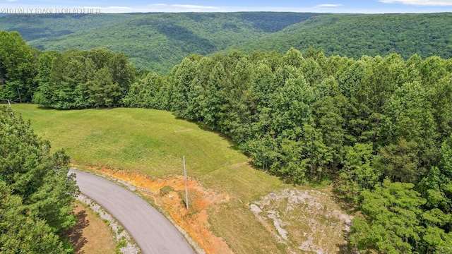 0 Preservation Dr, South Pittsburg, TN 37380 - photo 2