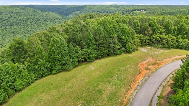 0 Preservation Dr, South Pittsburg, TN 37380 - photo 3