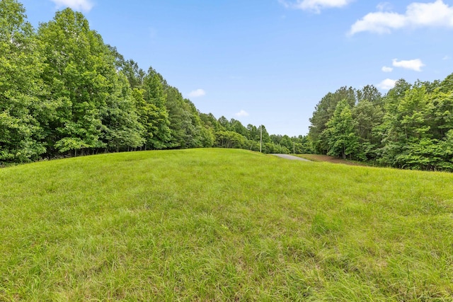0 Preservation Dr, South Pittsburg, TN 37380 - photo 23