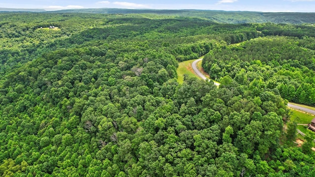 0 Preservation Dr, South Pittsburg, TN 37380 - photo 13