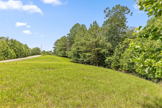 0 Preservation Dr, South Pittsburg, TN 37380 - photo 25