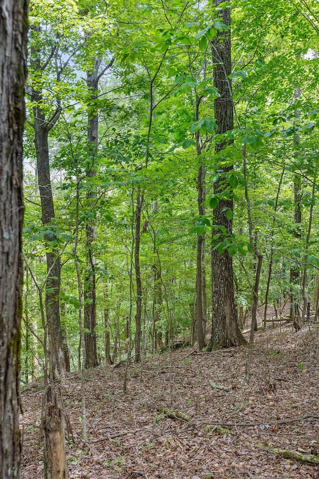 0 Preservation Dr, South Pittsburg, TN 37380 - photo 27