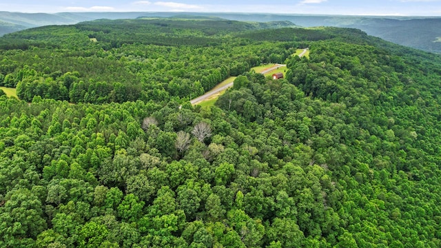 0 Preservation Dr, South Pittsburg, TN 37380 - photo 15