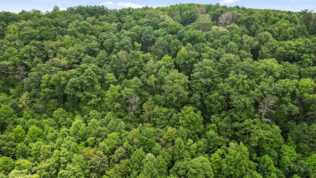 0 Preservation Dr, South Pittsburg, TN 37380 - photo 8