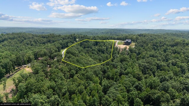 0 Day Cemetery Ln, Stewart, TN 37175 - photo 13
