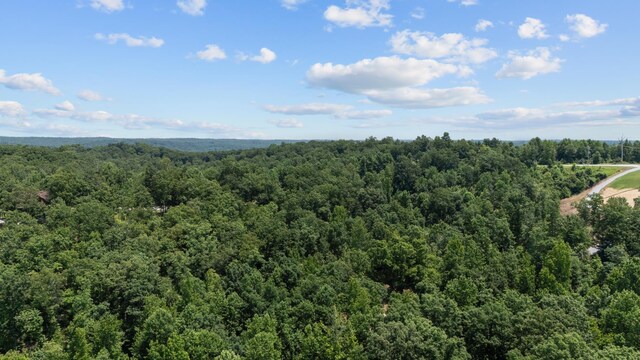 0 Day Cemetery Ln, Stewart, TN 37175 - photo 14