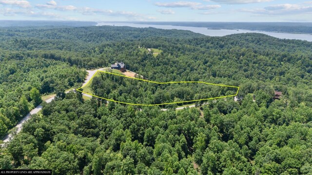 0 Day Cemetery Ln, Stewart, TN 37175 - photo 11