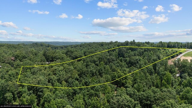 0 Day Cemetery Ln, Stewart, TN 37175 - photo 15