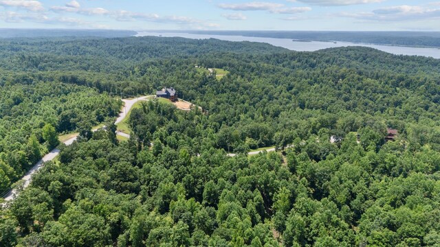 0 Day Cemetery Ln, Stewart, TN 37175 - photo 10