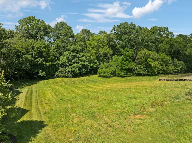 9040 Passiflora Ct, College Grove, TN 37046