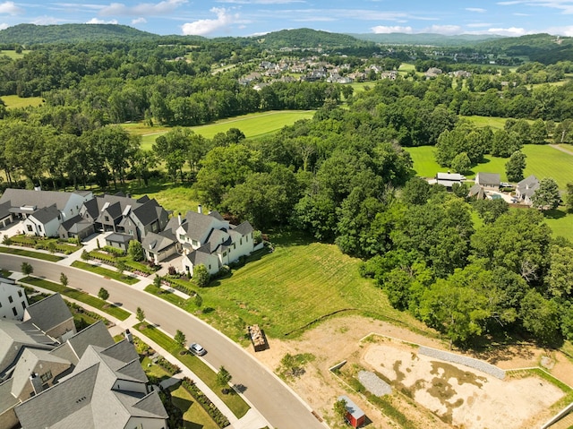 9040 Passiflora Ct, College Grove, TN 37046