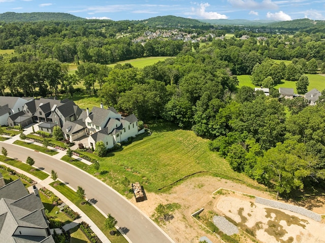 9040 Passiflora Ct, College Grove, TN 37046