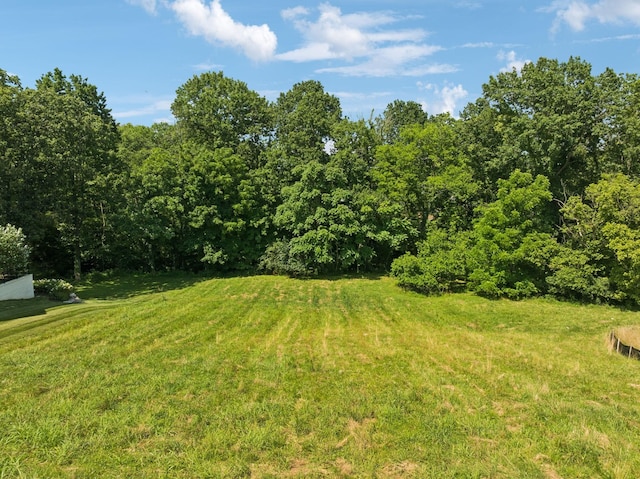 9040 Passiflora Ct, College Grove, TN 37046