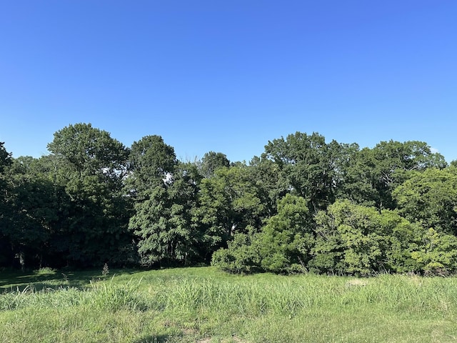9040 Passiflora Ct, College Grove, TN 37046
