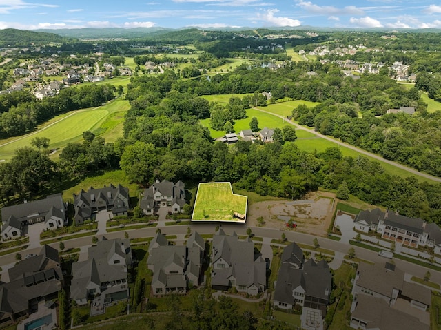 9040 Passiflora Ct, College Grove, TN 37046