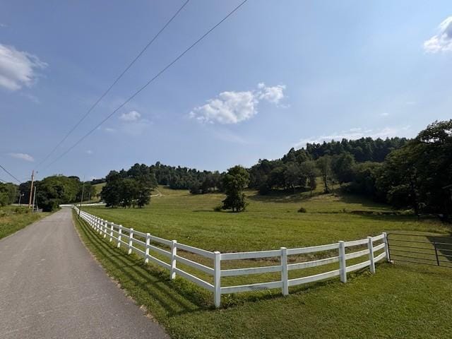 1425 Bartlett Hollow Rd, Petersburg, TN 37144 - view of asphalt street featuring a rural view