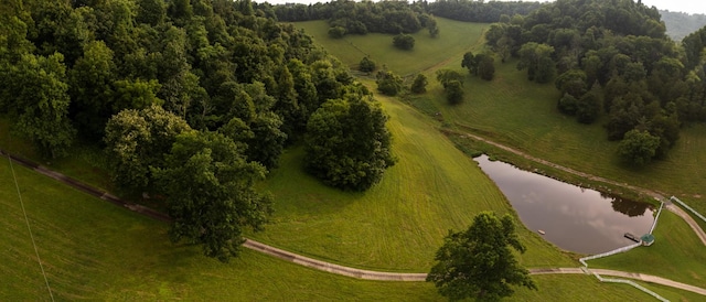 1425 Bartlett Hollow Rd, Petersburg, TN 37144 - view of property location featuring a large body of water