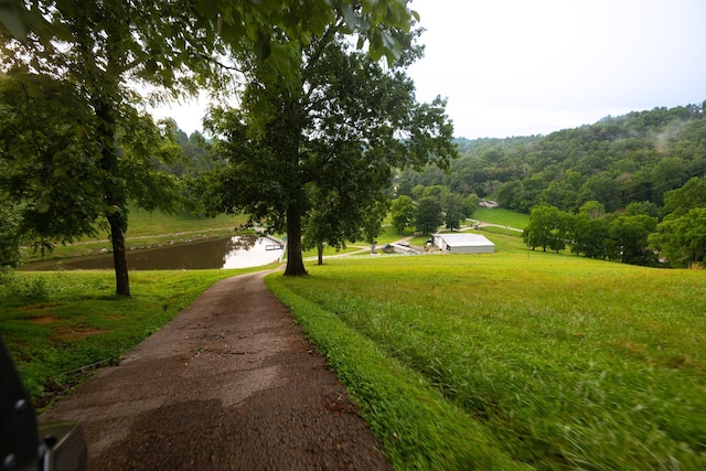 1425 Bartlett Hollow Rd, Petersburg, TN 37144 - view of home's community with a water view and a forest view