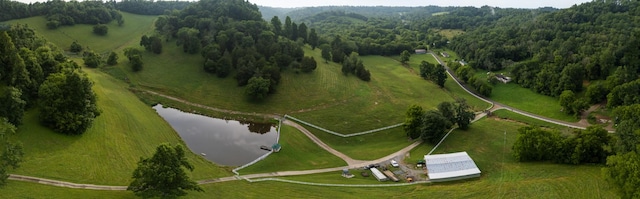 1425 Bartlett Hollow Rd, Petersburg, TN 37144 - aerial view of property's location with a large body of water and rural landscape