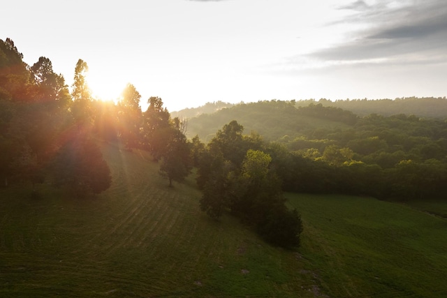 1425 Bartlett Hollow Rd, Petersburg, TN 37144 - view of tree filled area