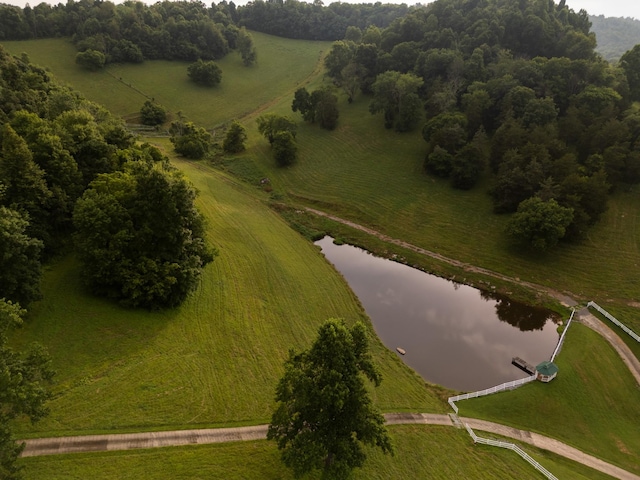 1425 Bartlett Hollow Rd, Petersburg, TN 37144 - aerial view of property and surrounding area with a nearby body of water and rural landscape