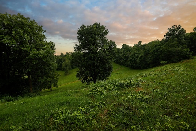 1425 Bartlett Hollow Rd, Petersburg, TN 37144 - view of nature