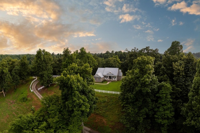 1425 Bartlett Hollow Rd, Petersburg, TN 37144 - view from above of property with a heavily wooded area