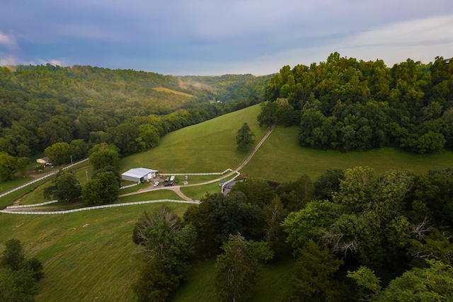 1425 Bartlett Hollow Rd, Petersburg, TN 37144 - aerial overview of property's location with rural landscape and a forest