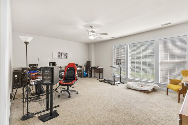 3006 Coral Bell Ln, Franklin, TN 37067 - photo 26