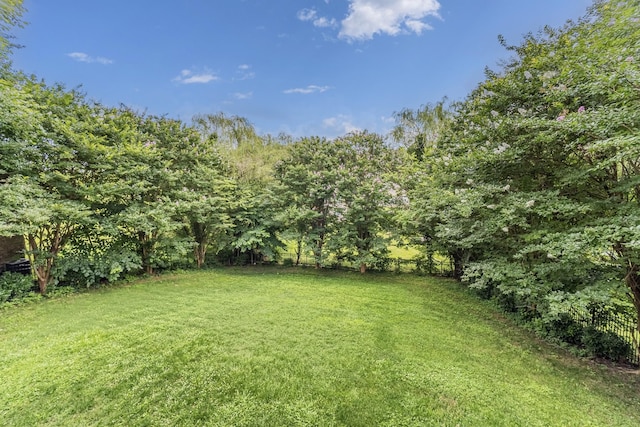 3006 Coral Bell Ln, Franklin, TN 37067 - photo 29