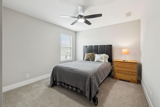 2530 Fig Dr, Murfreesboro, TN 37127 - photo 24