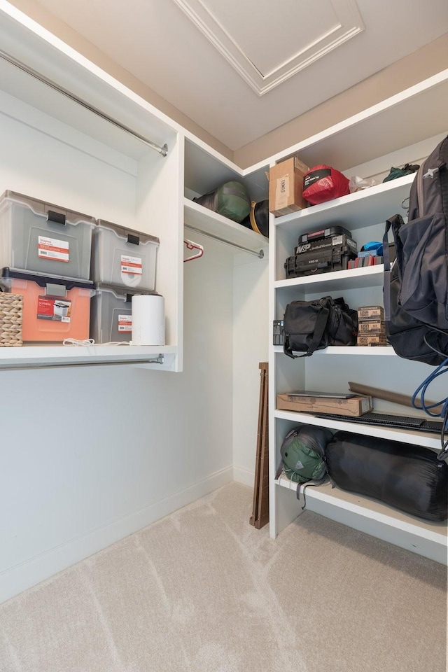 1202 Jewell Ave, Franklin, TN 37064 - walk in closet with carpet floors and attic access